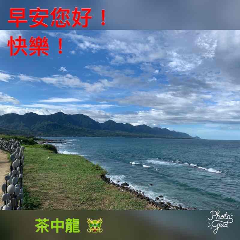 茶中龍 post 1