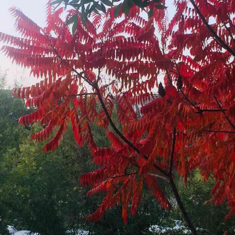 潇潇洒洒 post 1