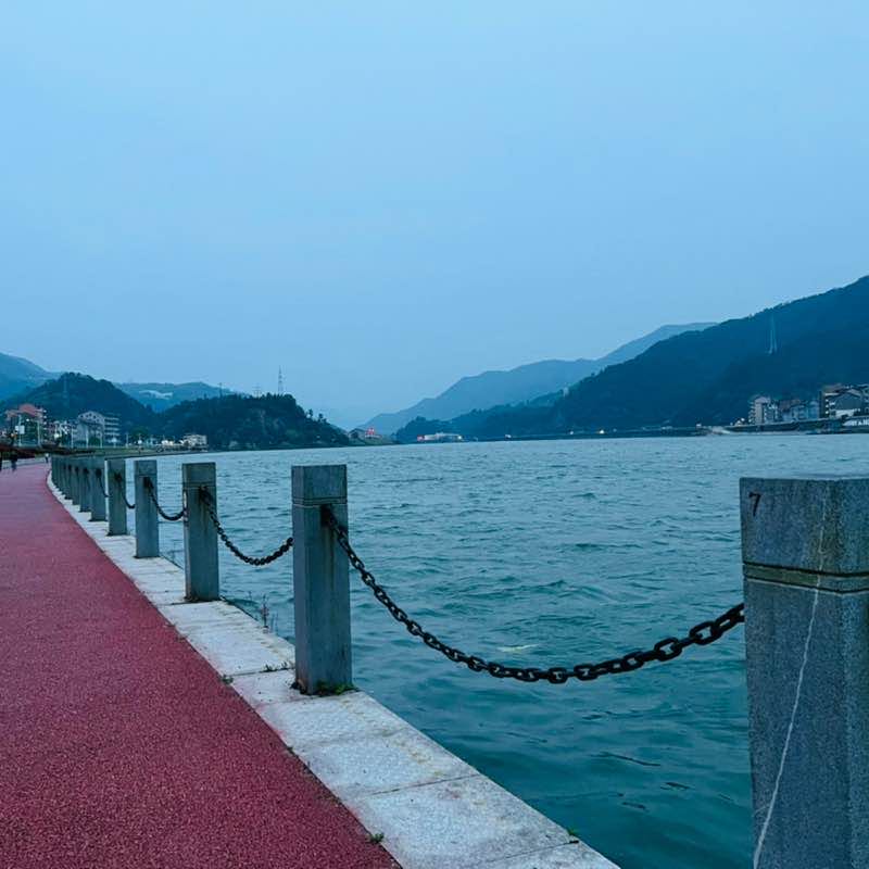 怒放的生命 post 2