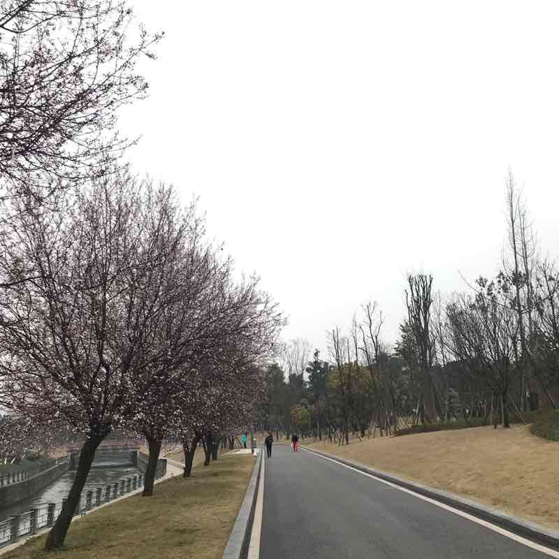 心情的天空-Roger妈 post 1