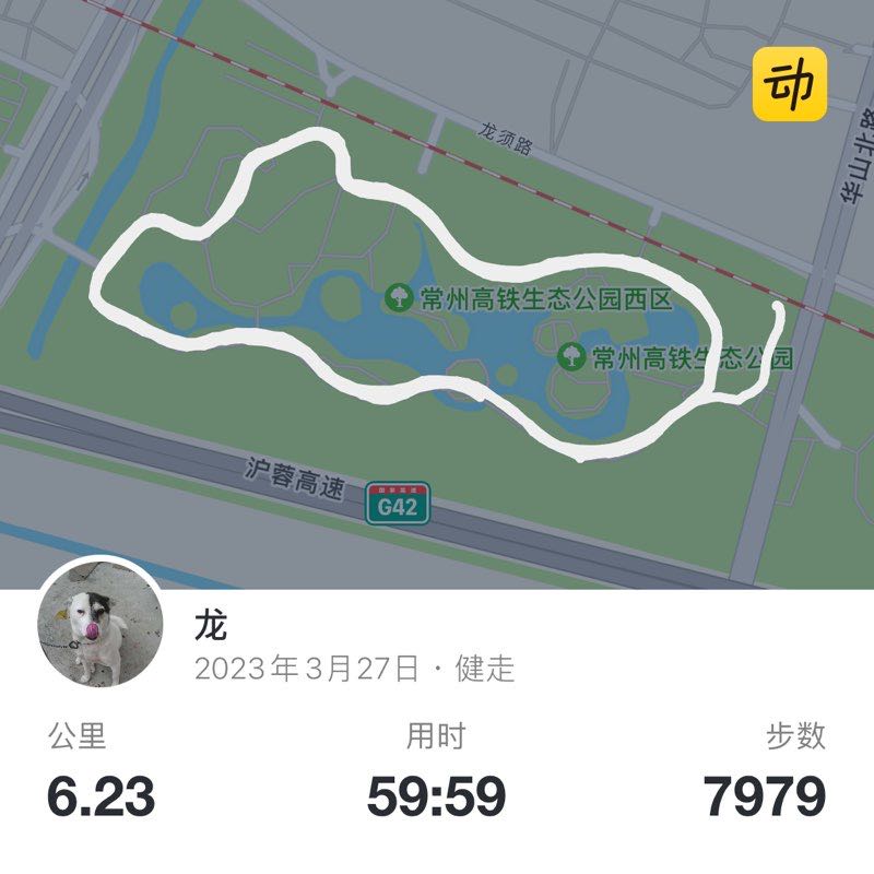 龙 post 1
