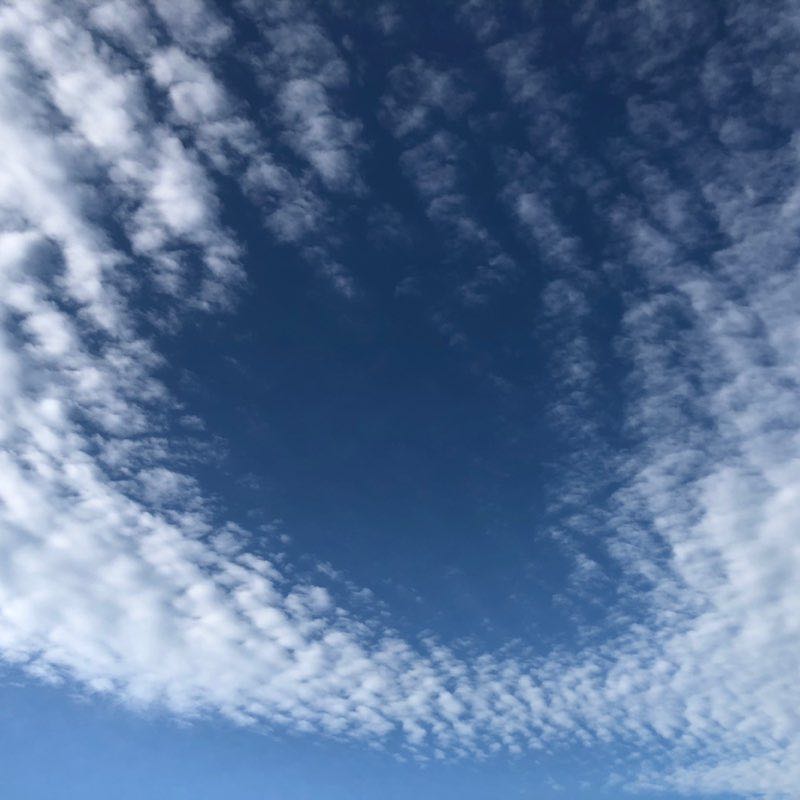 王雪懿炳 post 1