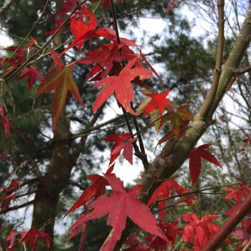 我愛運動-Eva post 1