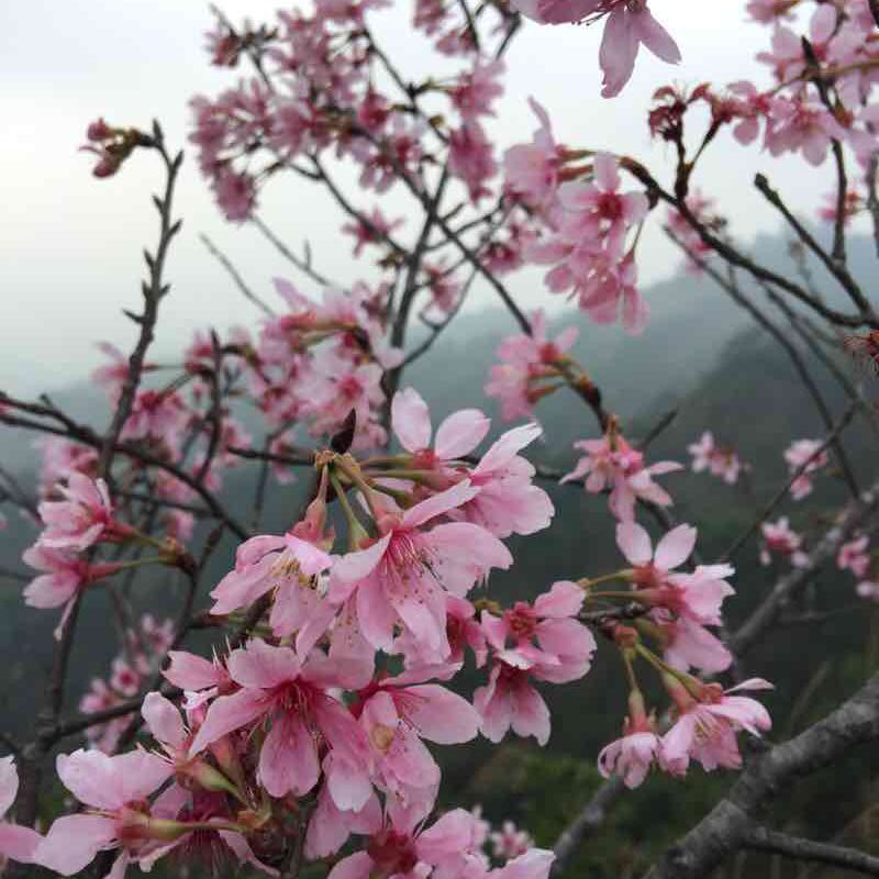 我愛運動-Eva post 3