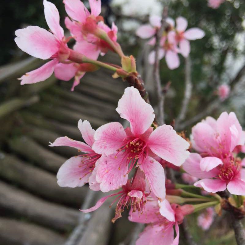 我愛運動-Eva post 2