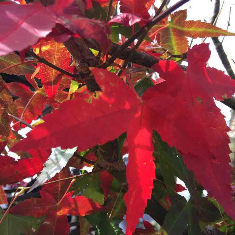 我愛運動-Eva post 2