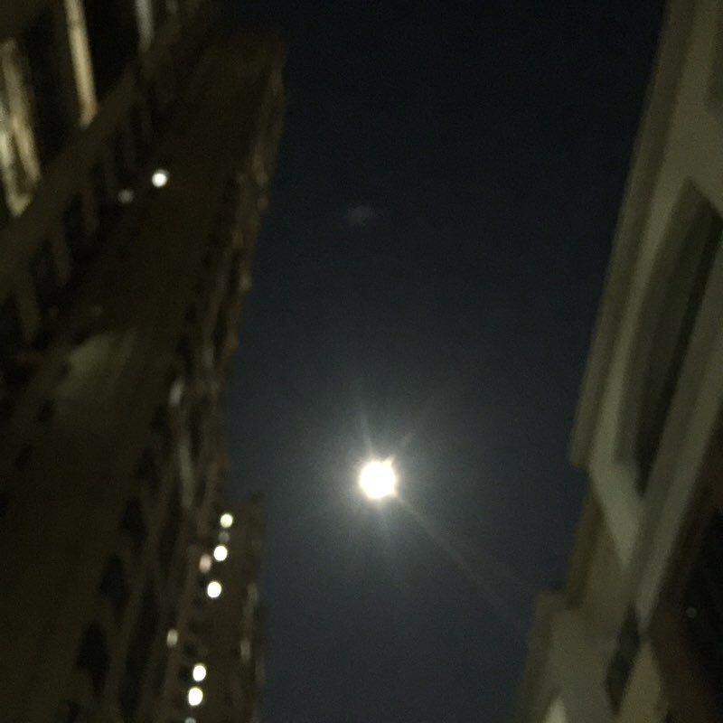 不吃糖的🐔 post 2