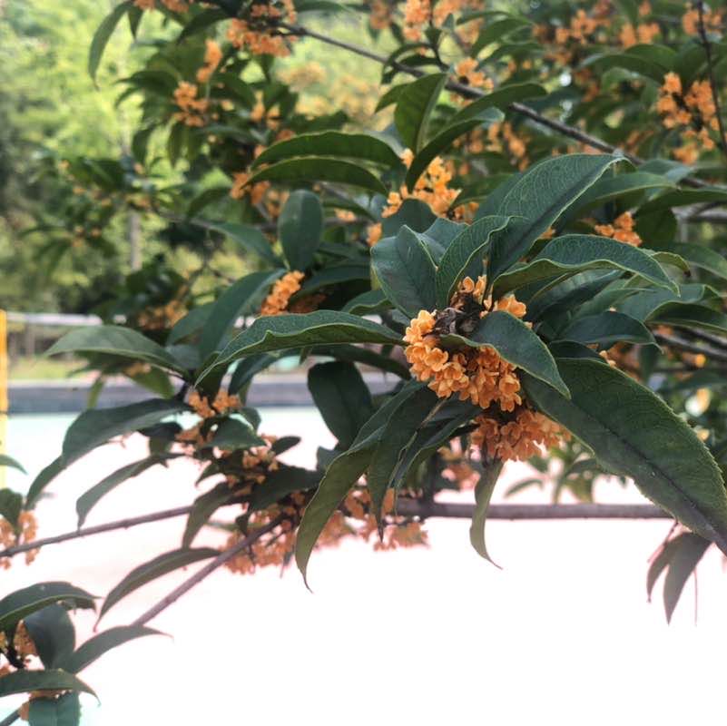 丶灬傻吖吖 post 1