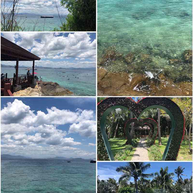 🎀Sunny🎀 post 3