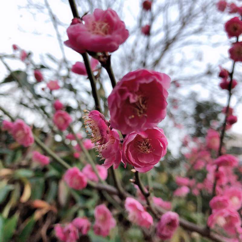 愛❤️寳貝 post 1