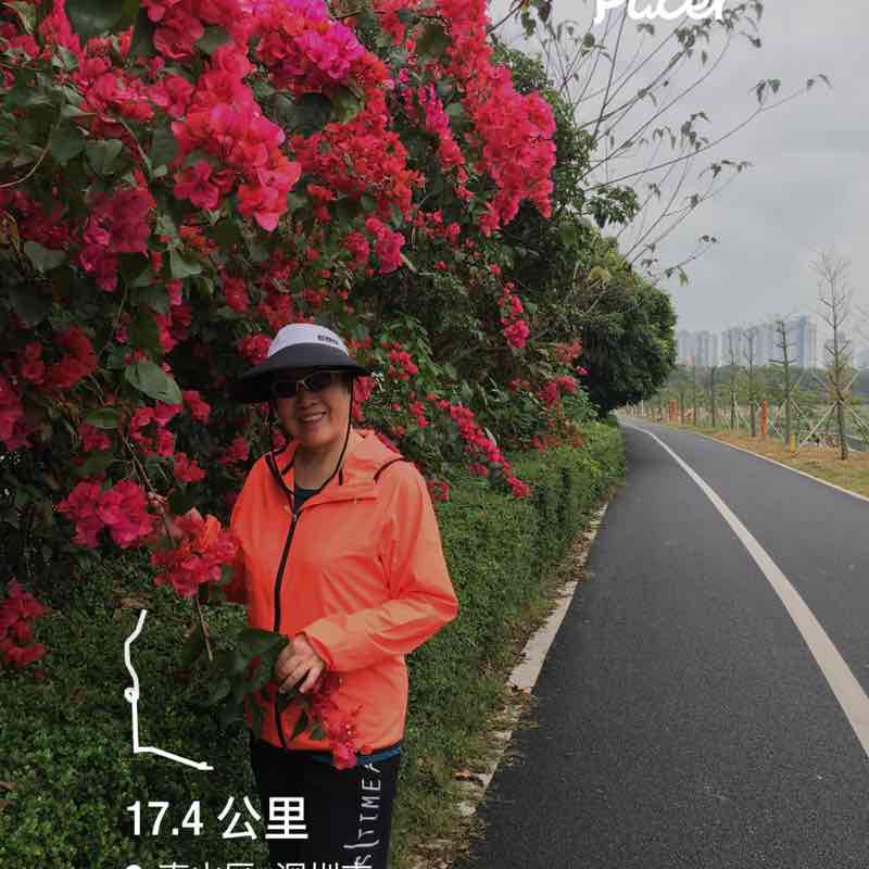 莉莉 post 1