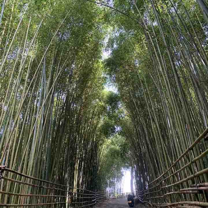 逐漸變老🀄️⋯⋯ post 1