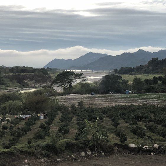 來～來～來 post 1