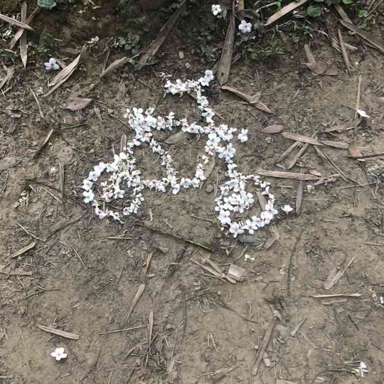 來～來～來 post 2