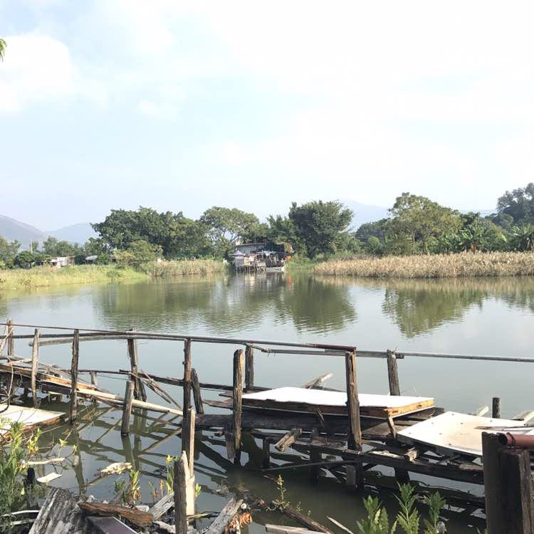 🌸豬兜兜🌺 post 1