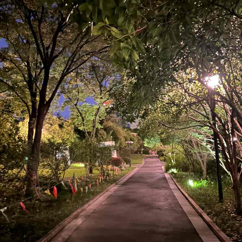 风雪夜归人 post 1