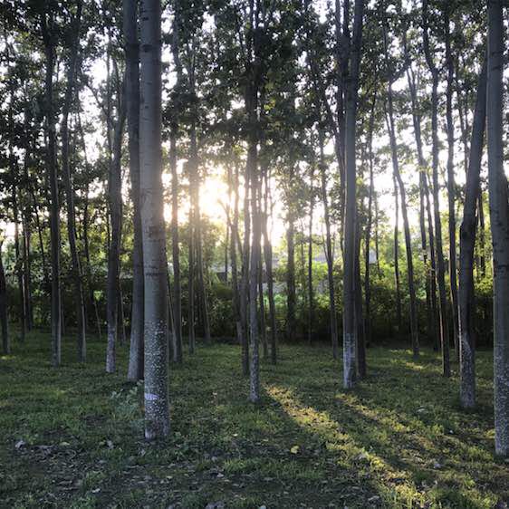 🐻木易小姐👣 post 2