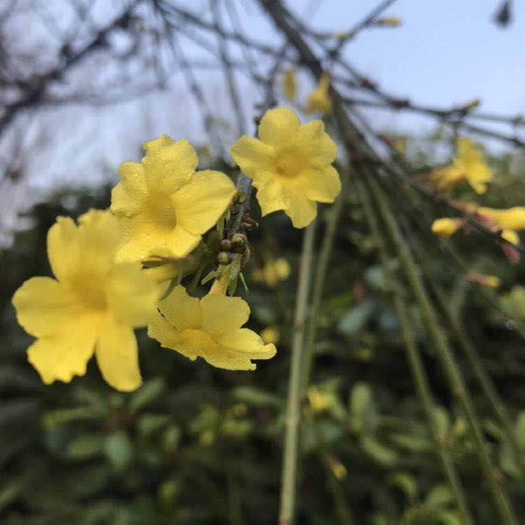 木子李 post 3