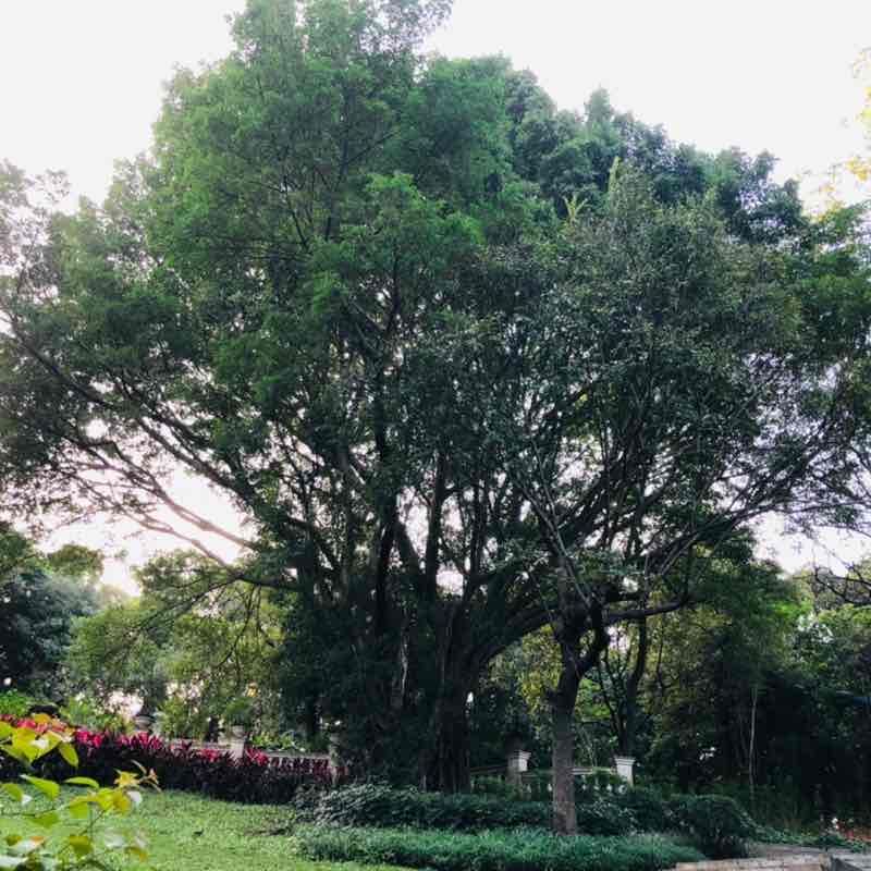 龙行天下 post 2