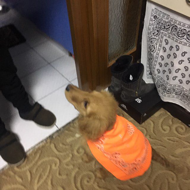 磊子姐 post 1