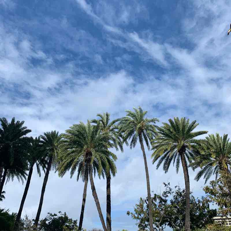 向往随心的生活 post 1