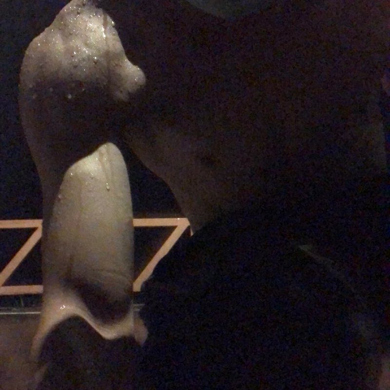 Call me Hg-如图所示