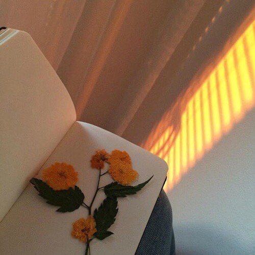 蓉🌸