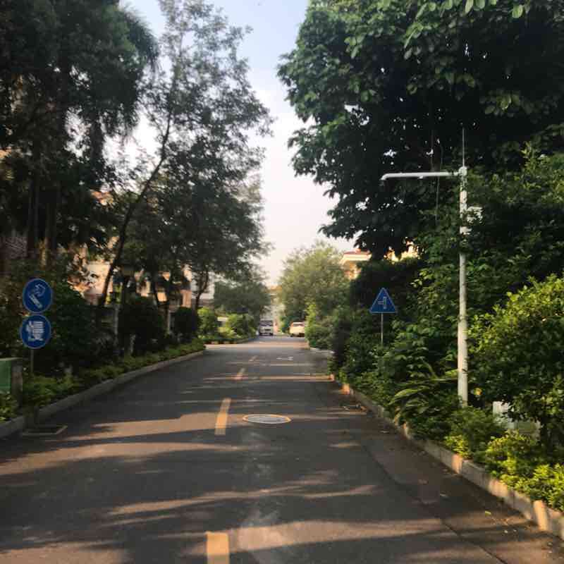 家具业张诗真 post 2