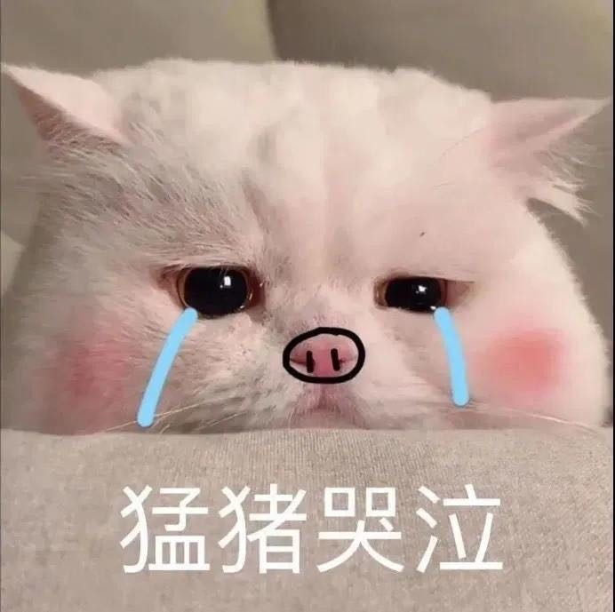 往里停
