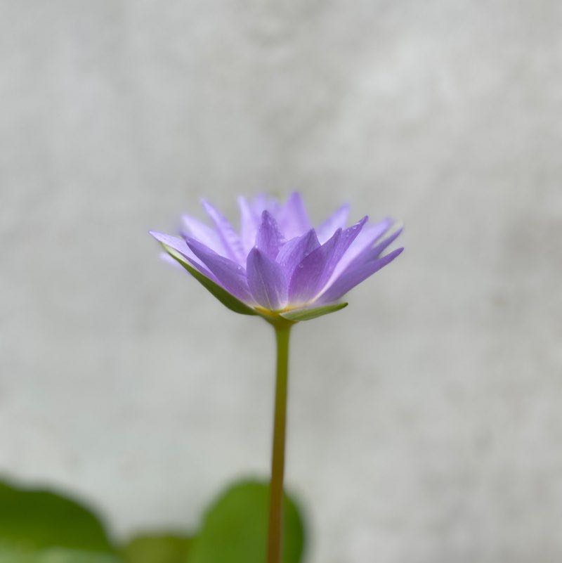 徐 post 1