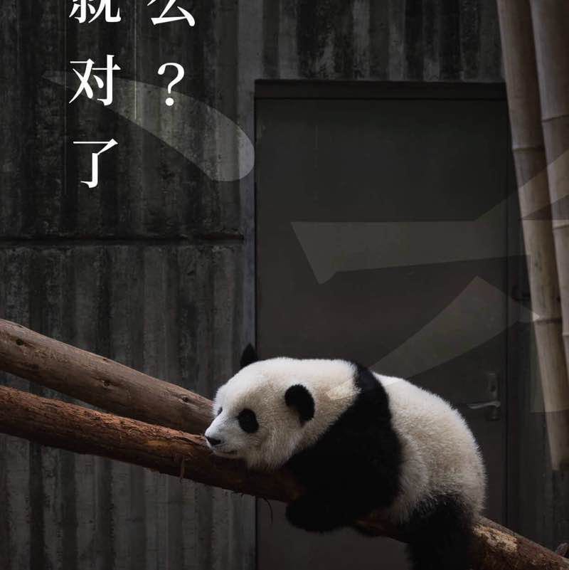 珊珊来迟 post 1
