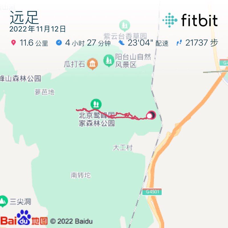 疯子 post 1