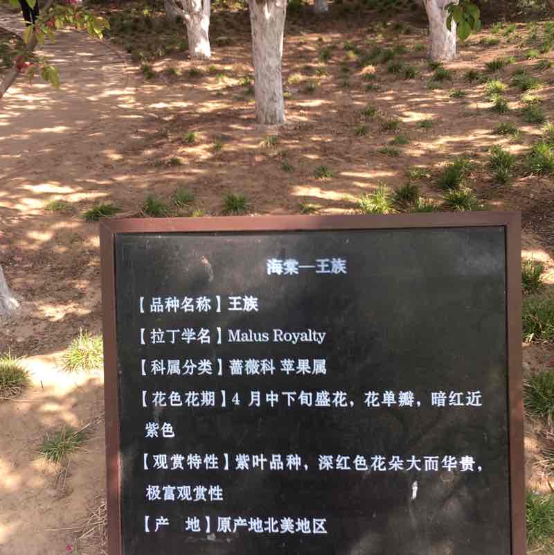听风就是你 post 2