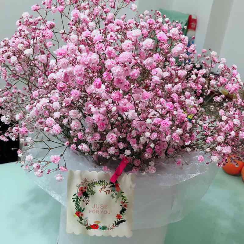 🐲黄婷🇨🇳 post 1