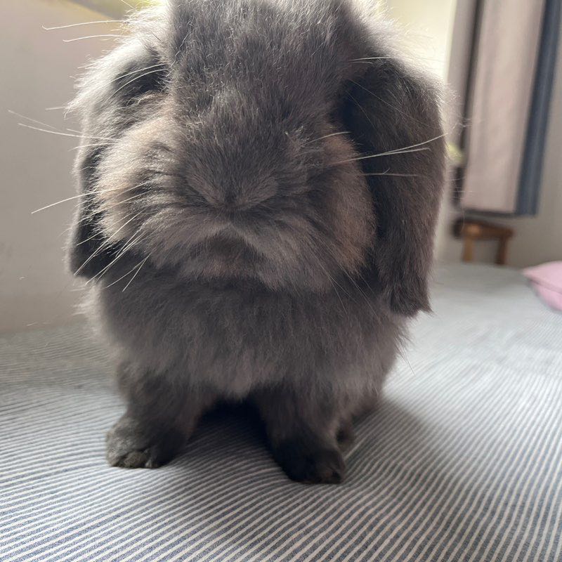 静