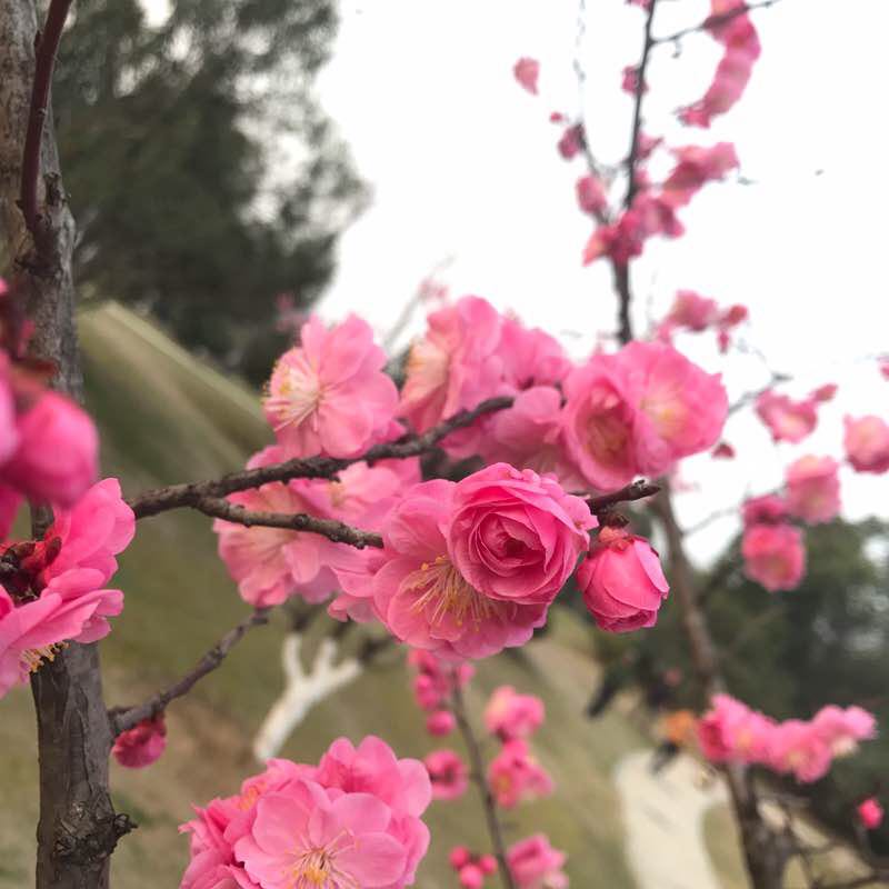有你我安 post 3