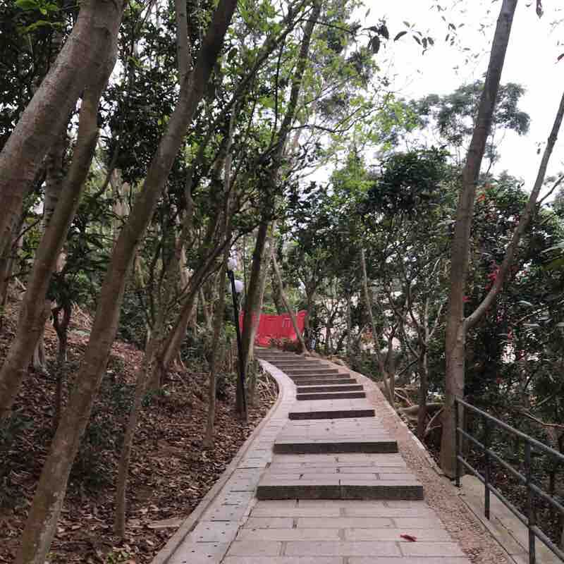 H小清新 post 1