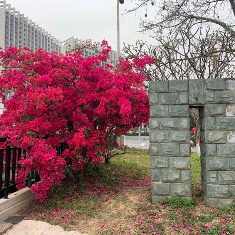 Sam Wang post 1