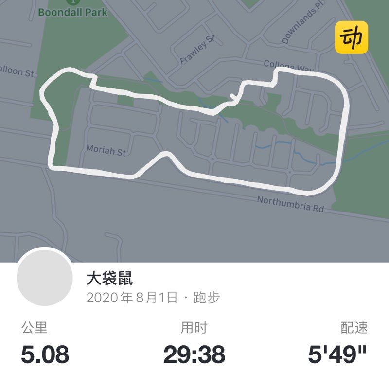 大袋鼠 post 1