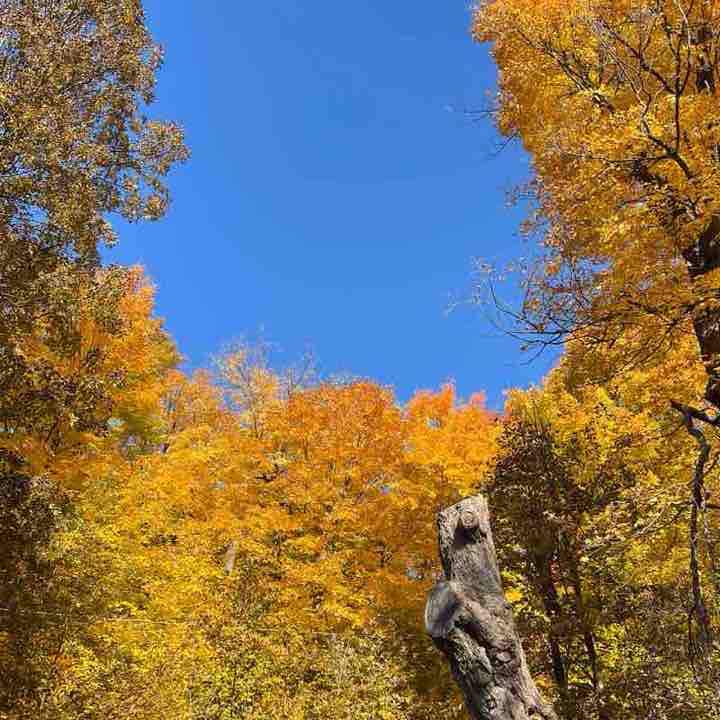 小福( ECHO ) post 1