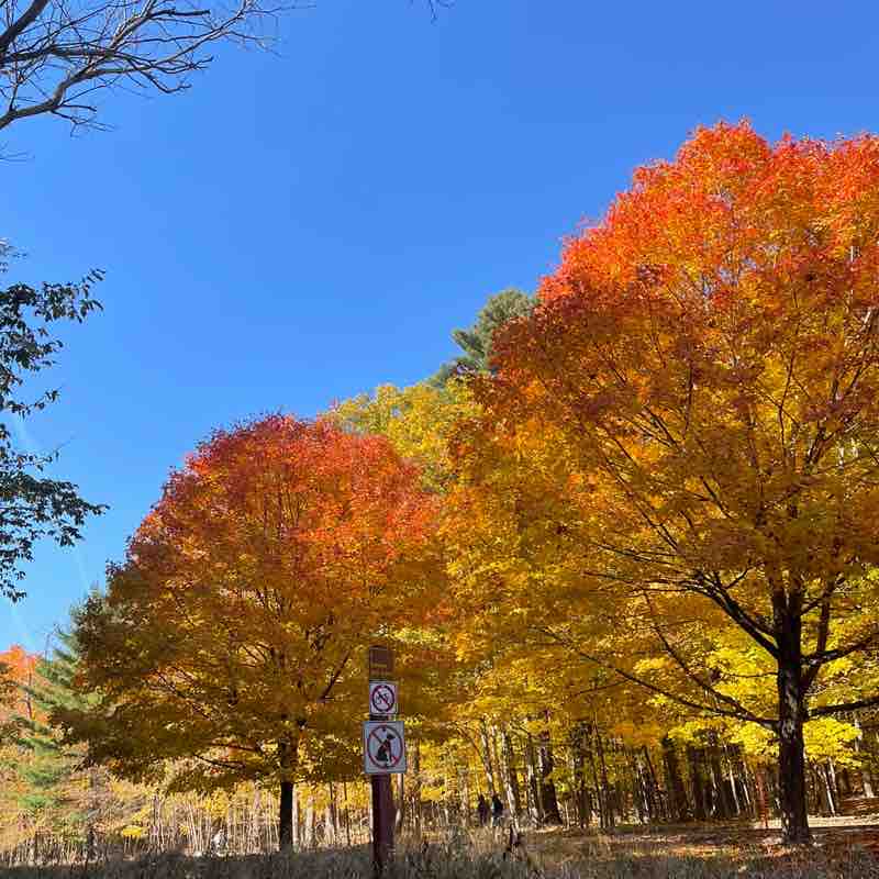 小福( ECHO ) post 3