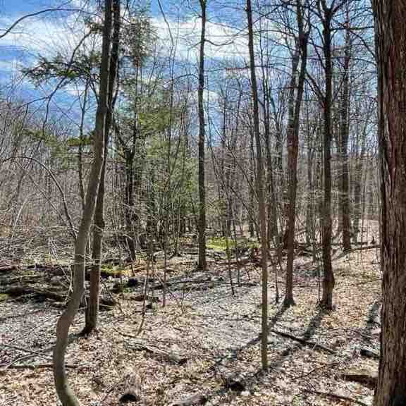 小福( ECHO ) post 3