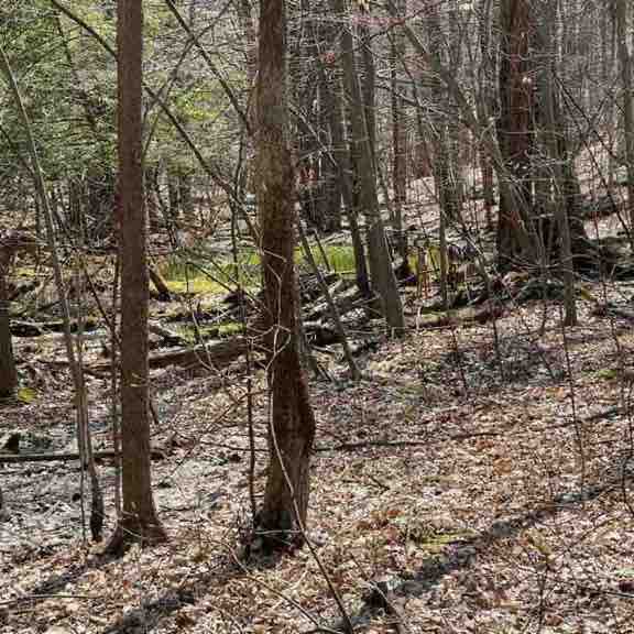 小福( ECHO ) post 1