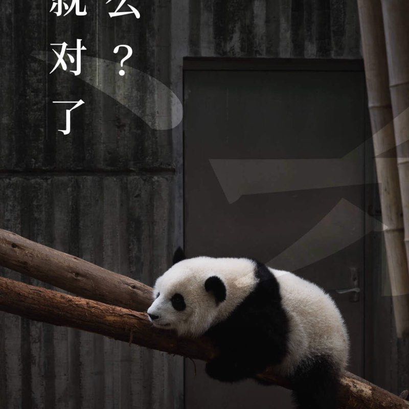 юг север post 1