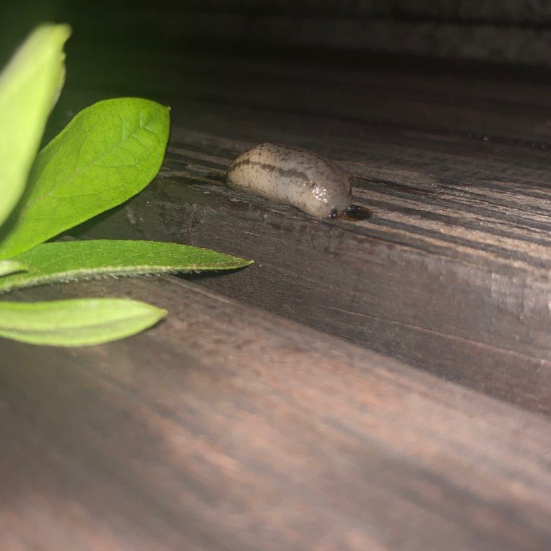 юг север post 1