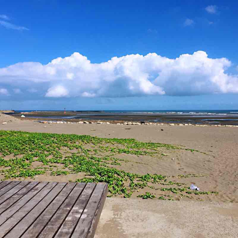 夜雨戀芭蕉 post 3