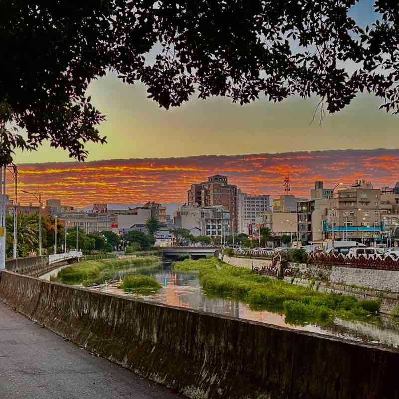 夜雨戀芭蕉 post 2