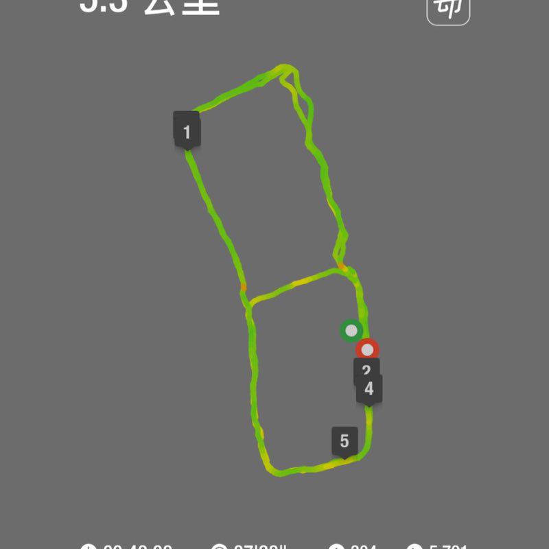 若古山舍纯料古树茶 post 2
