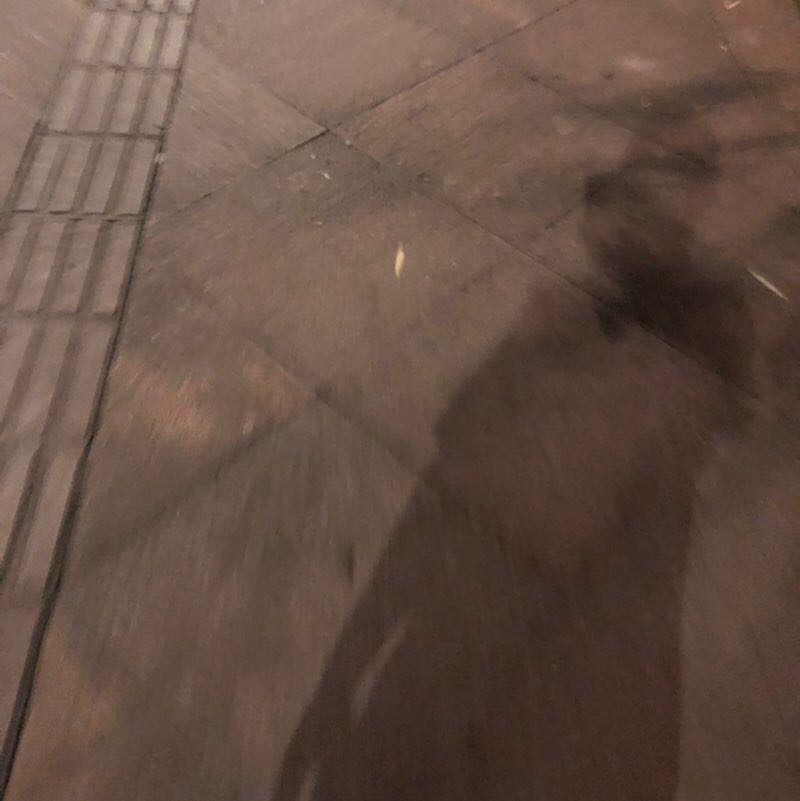 景國慶 post 2