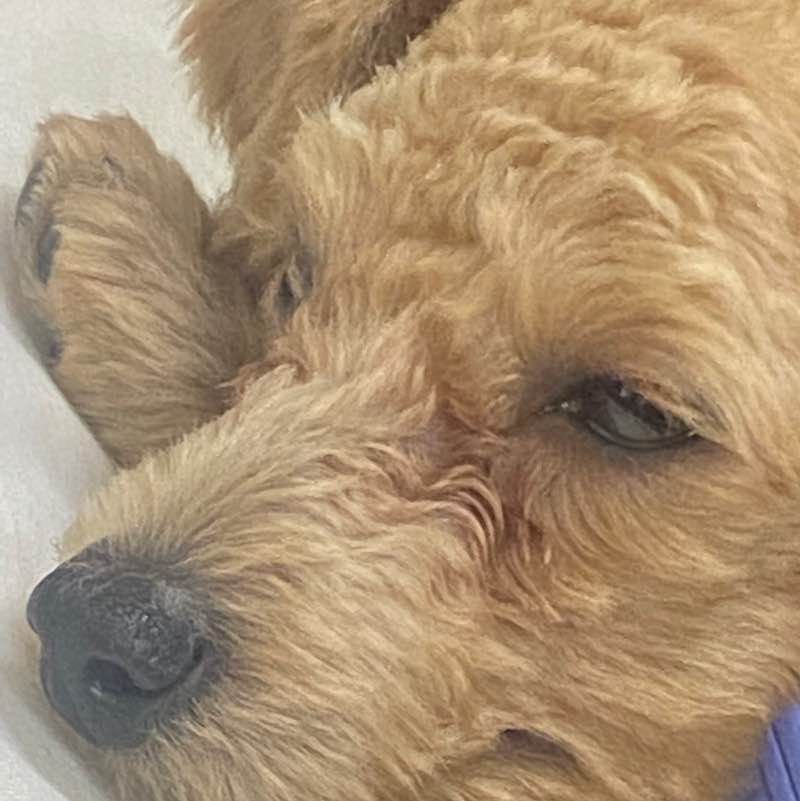 婕丶璇丶維 post 3